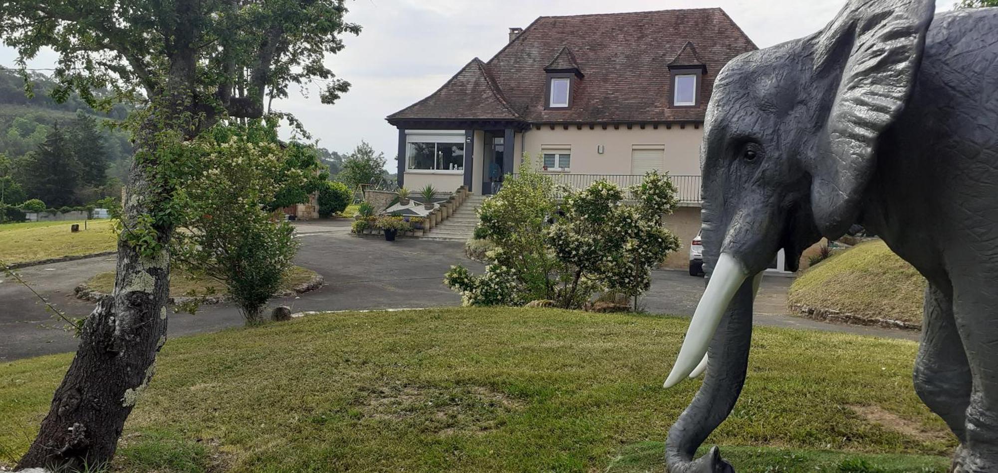 사흘라 라 카네다 Domaine Du Grezal B&B 외부 사진